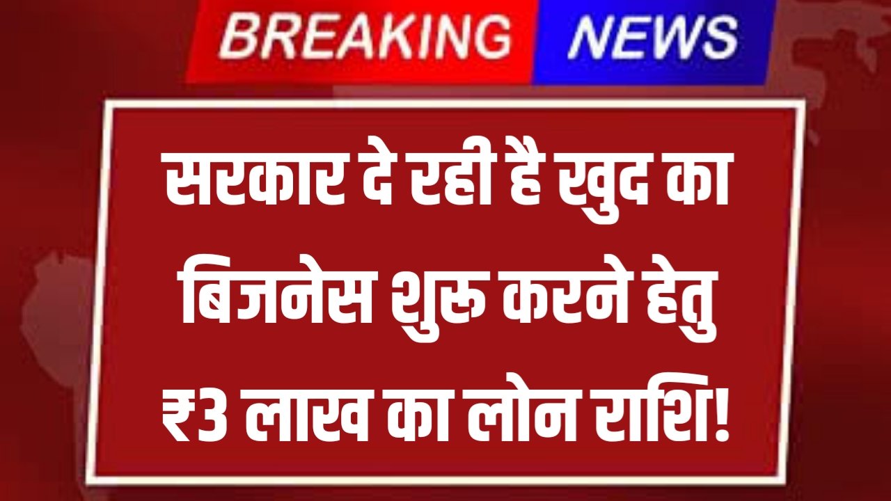 PM Vishwakarma Loan Yojana